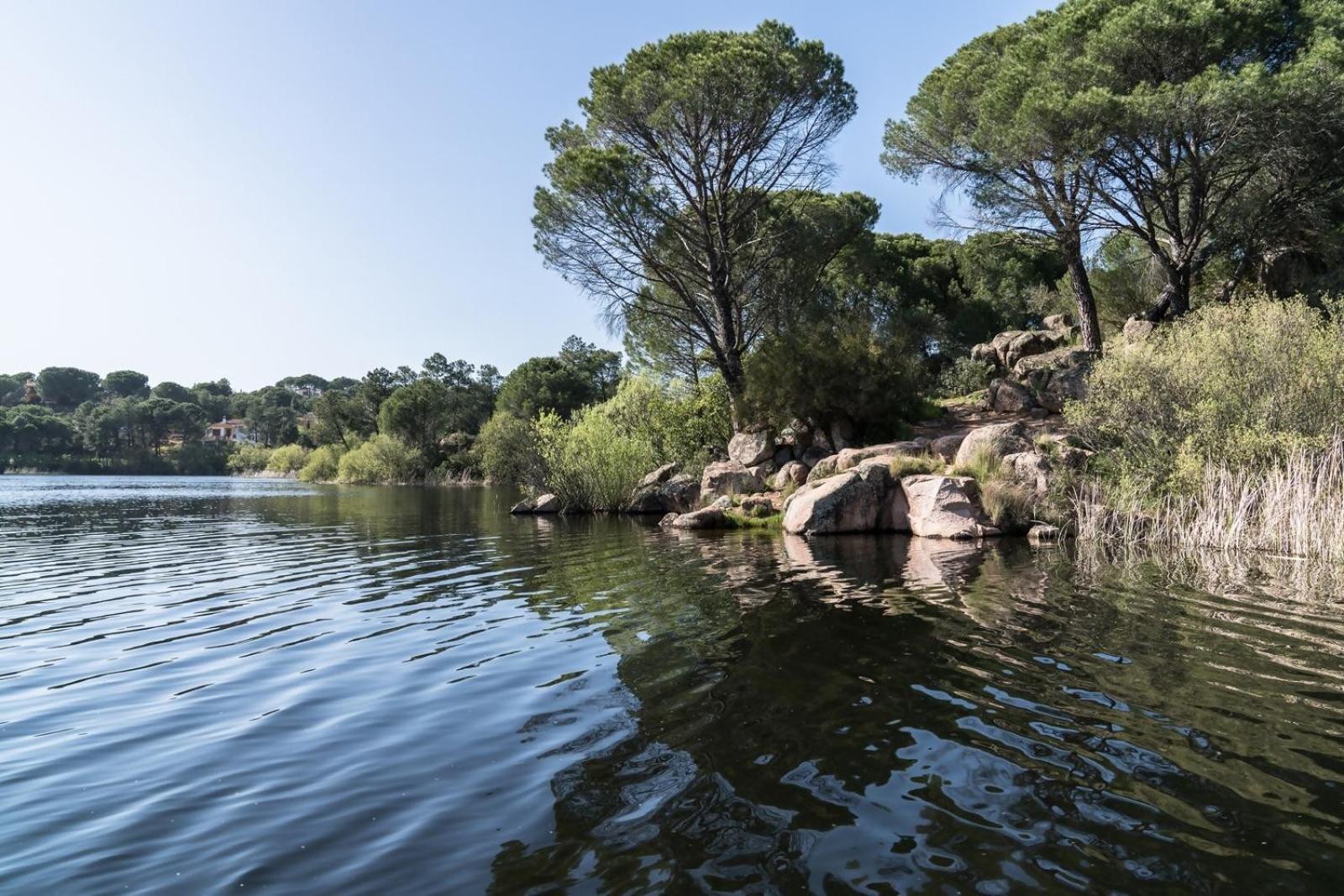 Casa El Lago Alojamiento Rural Las Jaras Exteriér fotografie